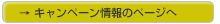 �c�N���X�^���R�[�g�L�����y�[��